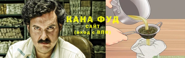 стаф Новозыбков