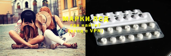 стафф Новокубанск