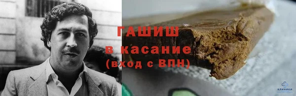 стаф Новозыбков