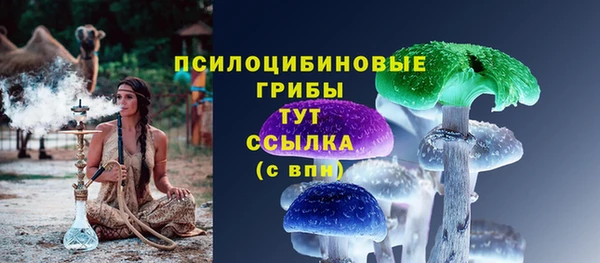 альфа пвп Нефтегорск