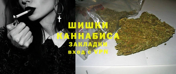 мдма Новодвинск