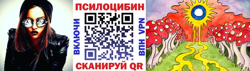 shop наркотические препараты  Суоярви  Галлюциногенные грибы Psilocybe 